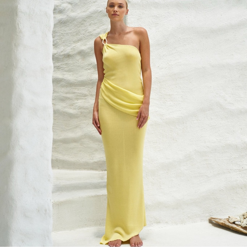 BAOBAB Lyn Dress NWOT